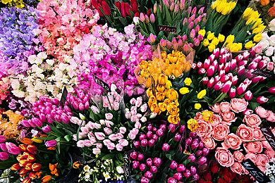 PS5表现略佳 《生化危机4：重制版》试玩全平台对比